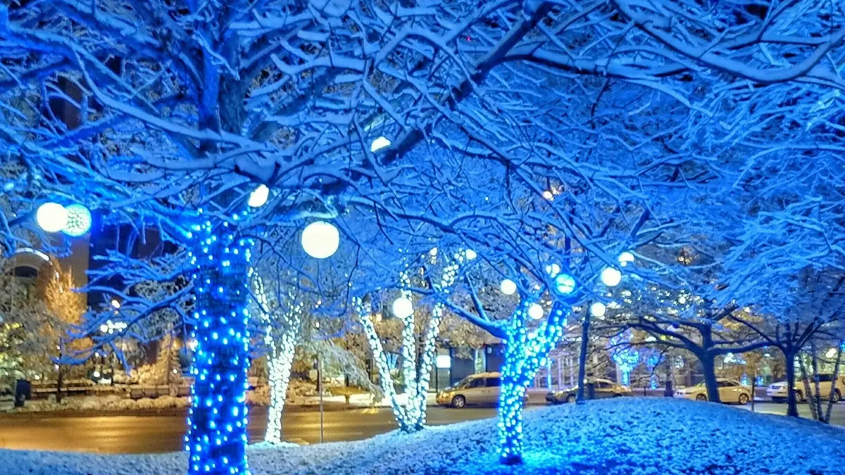 shibuya, illuminations, hiver