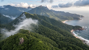 ILE DE YAKUSHIMA