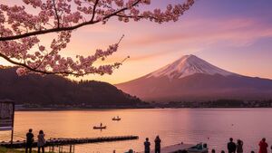 Mont Fuji : guide des meilleures visites et activités à proximité
